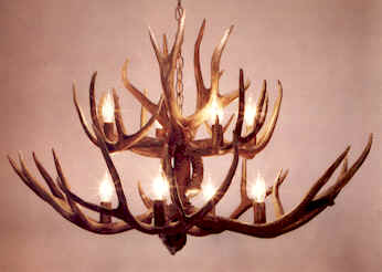 2-Tier Mule Deer and Whitetail