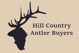 Hill Country Antler Buyers
